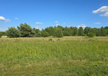 działka na sprzedaż - Ożarowice, Zendek